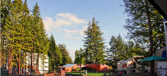 Overall Look of Merrill B Building, Courtyard, Academic, and Classroom Buildings