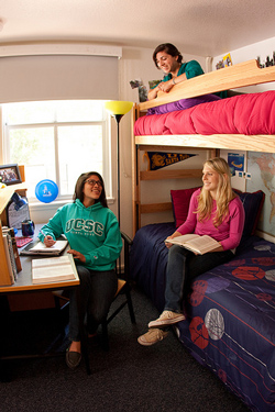 Image of students in a triple room
